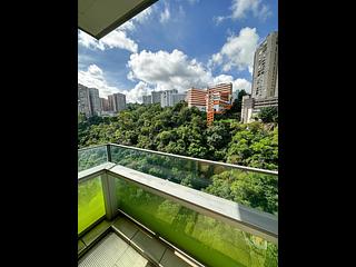 North Point - Lime Habitat 08