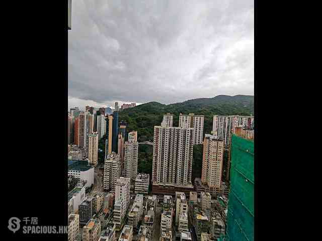 Tai Hang - Warrenwoods 03