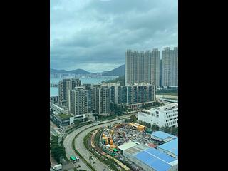 Tseung Kwan O - The Wings IIIA 10