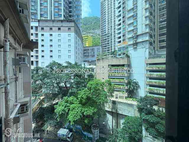 Mid Levels Central - Fairview Height 05