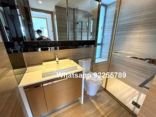 Sai Ying Pun - The Summa 07