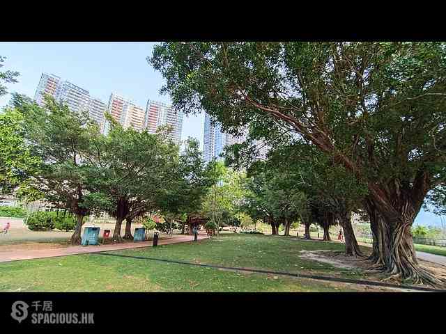 Cyberport - Residence Bel-Air Phase 2 South Tower Tower 1 12