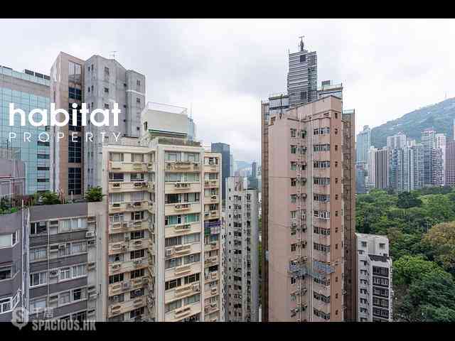 Central - Cordial Mansion 05