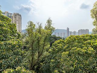 Tai Hang - Mayflower Mansion 17