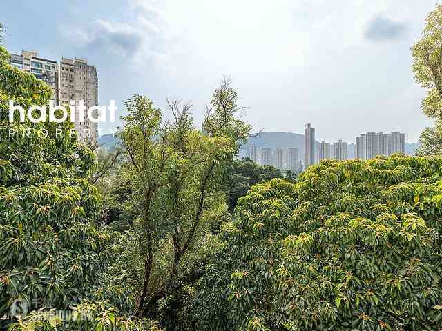 Tai Hang - Mayflower Mansion 17