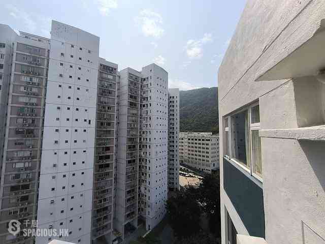 Stubbs Road - Evergreen Villa 01