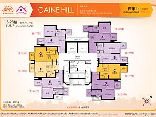 Soho - Caine Hill 07