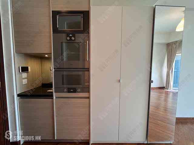 Wan Chai - The Avenue Phase 2 Block 2 11