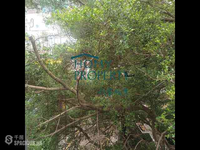 Poho - Tai Cheung Building 04