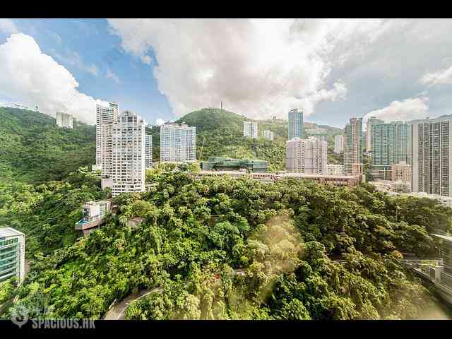 東半山 - 御花园 14
