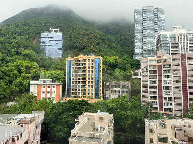 西半山 - 威都阁 16