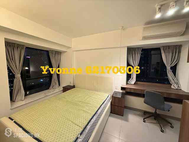 Poho - Rich View Terrace 08
