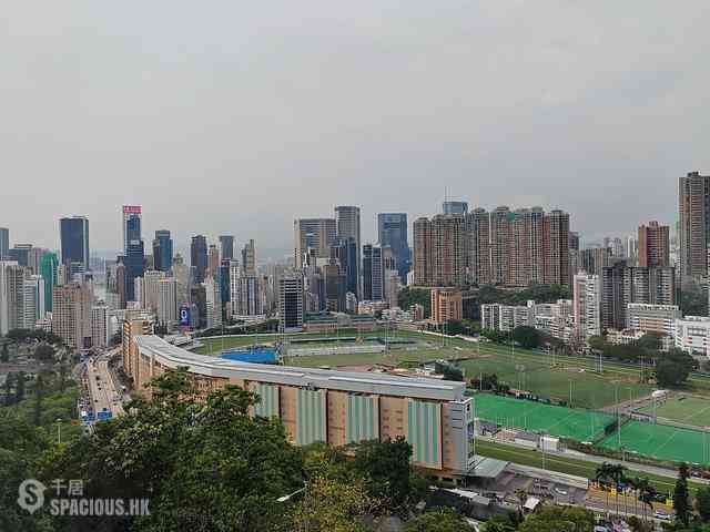 Stubbs Road - 24, Tung Shan Terrace 01