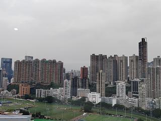 司徒拔道 - 东山台24号 06
