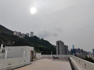 司徒拔道 - 东山台24号 14