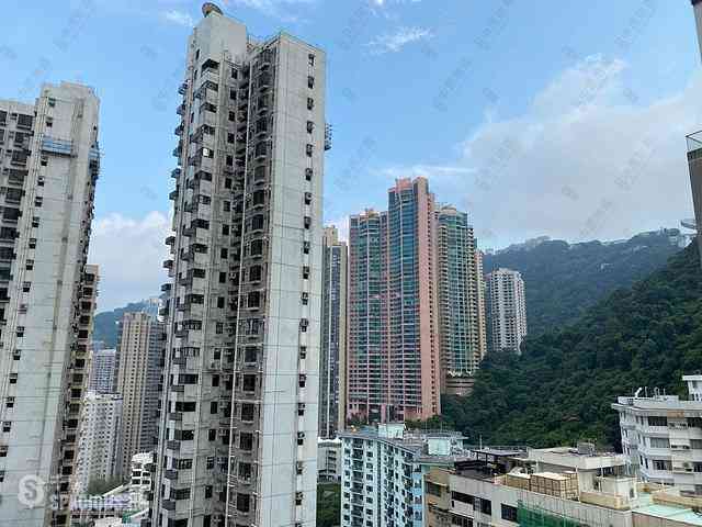 中半山 - 羅便臣道31號 06