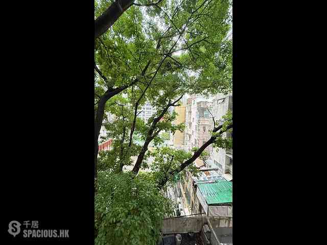 Sai Ying Pun - 31, Eastern Street 03