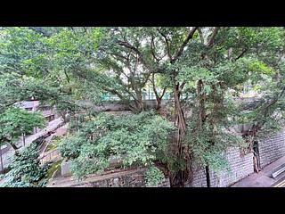 Sai Ying Pun - 31, Eastern Street 04