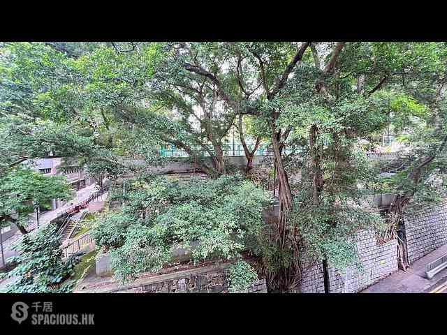 Sai Ying Pun - 31, Eastern Street 04