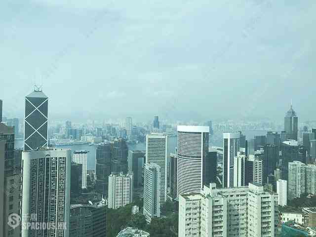 Mid Levels Central - The Harbourview 06