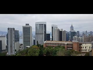 中半山 - 寶德臺 02