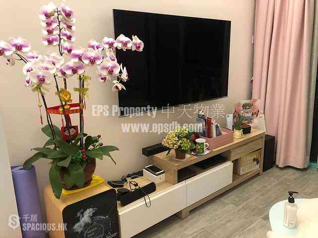 Discovery Bay - Discovery Bay Phase 12 Siena Two Celestial Mansion 06