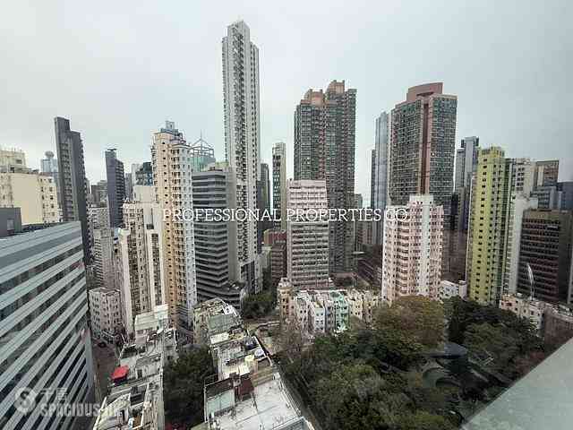 Sheung Wan - Hollywood Hill 18