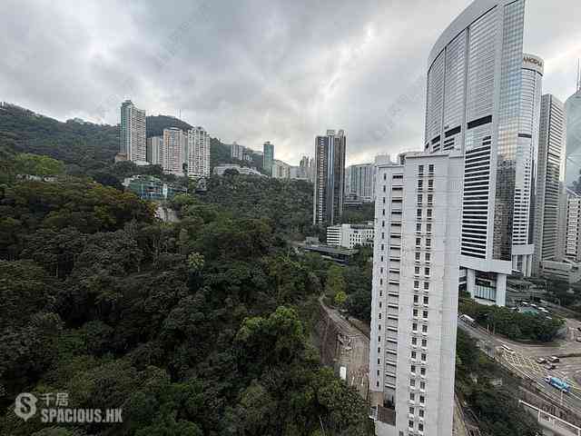 Wan Chai - Star Crest Block 1 01