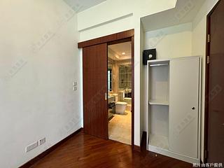 Wan Chai - The Avenue Phase 2 04