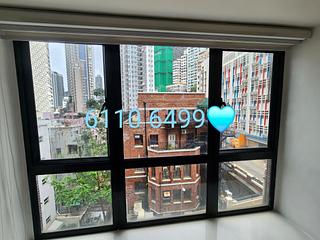 Poho - Rich View Terrace 03