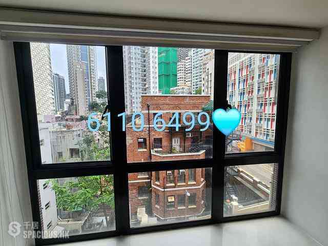 Poho - Rich View Terrace 03