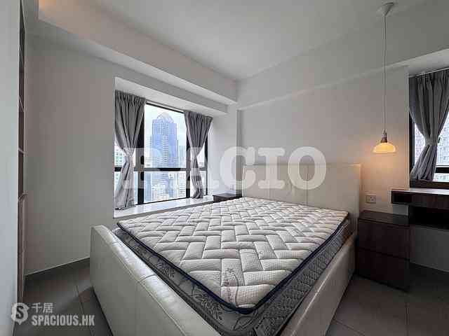 Poho - Rich View Terrace 05