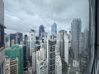 Poho - Rich View Terrace 07