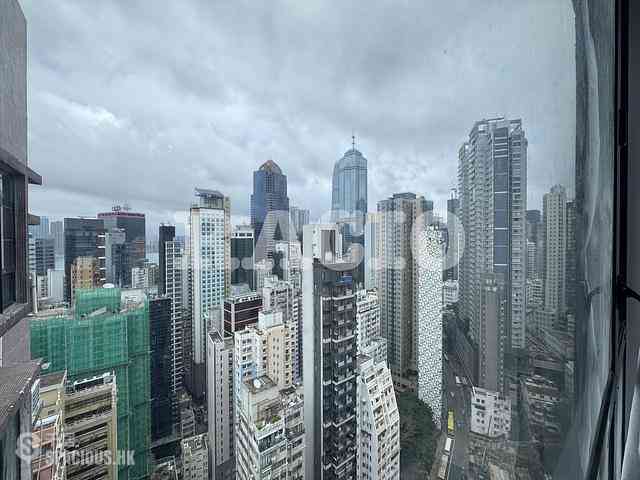 Poho - Rich View Terrace 07