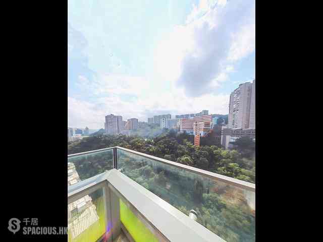 North Point - Lime Habitat 03