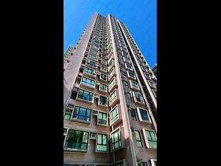 Poho - Rich View Terrace 10