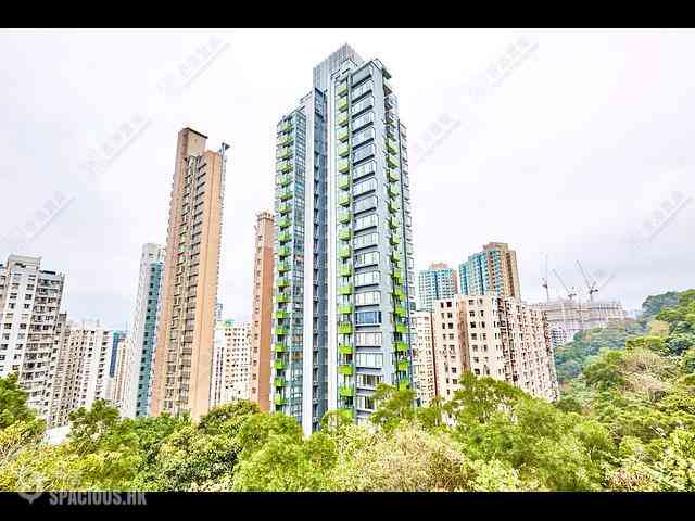 North Point - Lime Habitat 07