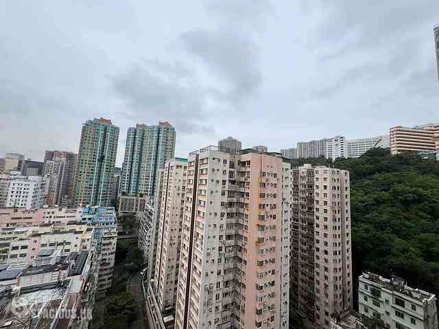 North Point - Mount East 01