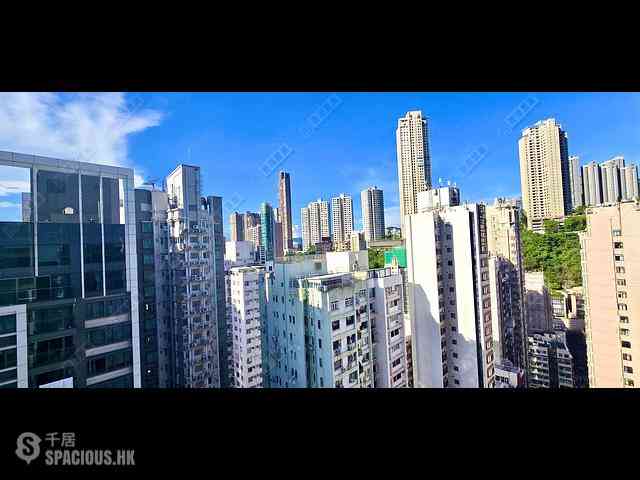 跑马地 - THE ASTER (RESIGLOW) 10