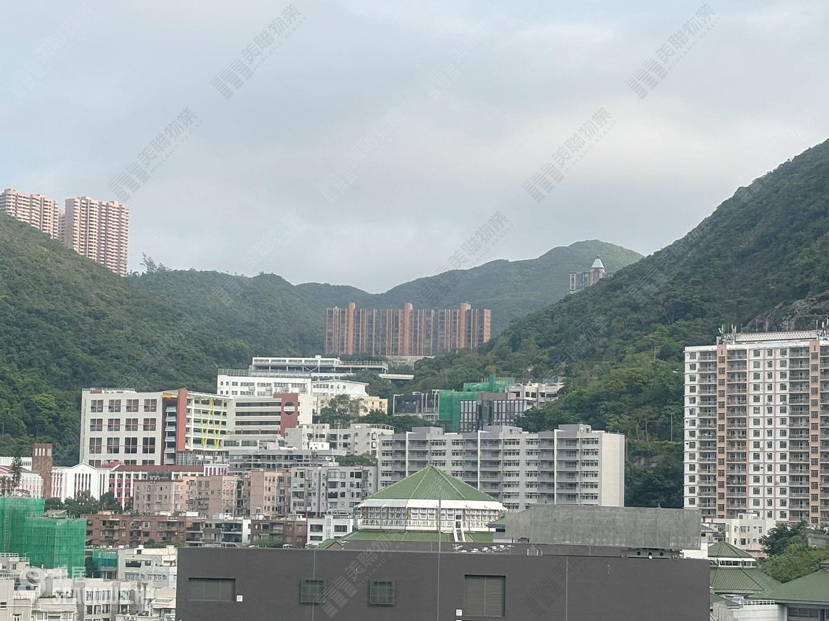 Happy Valley - The Aster (Resiglow) 01