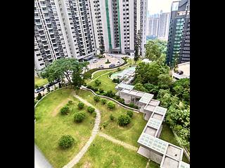 Jardines Lookout - Cavendish Heights 05