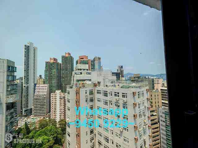 Sheung Wan - Lascar Court 08