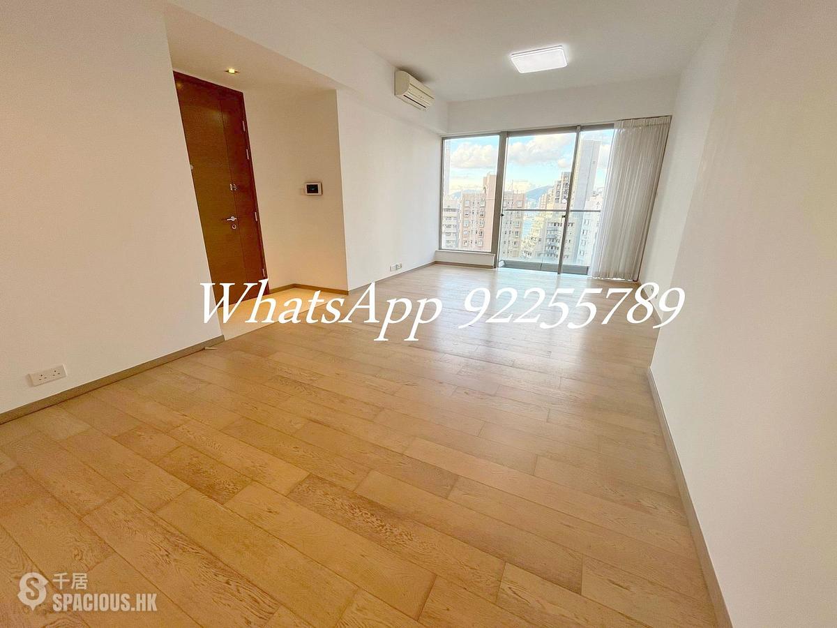 Sai Ying Pun - The Summa 01