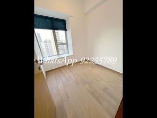 Sai Ying Pun - The Summa 05