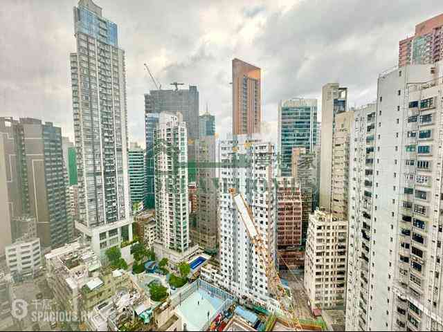 Sai Ying Pun - Macro Garden 01