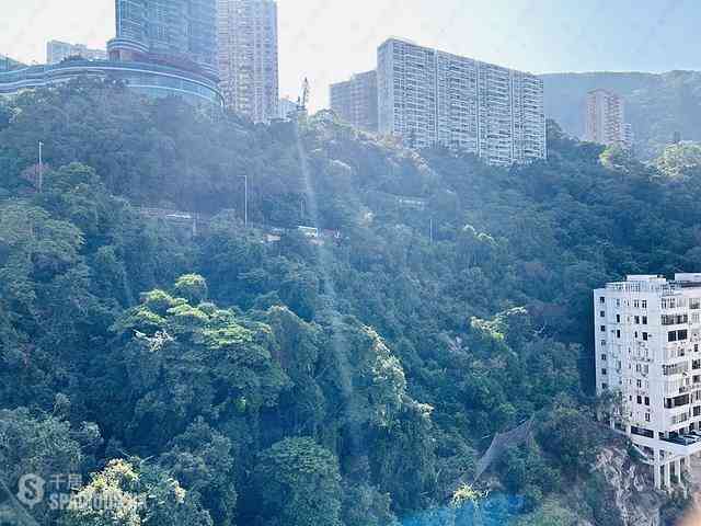 Happy Valley - The Altitude 02