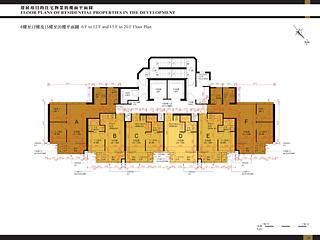 Sai Ying Pun - The Queens 11