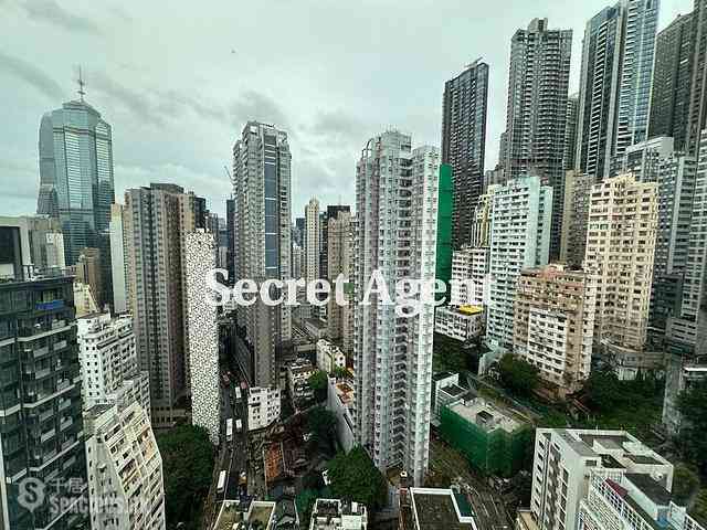 Poho - Rich View Terrace 03