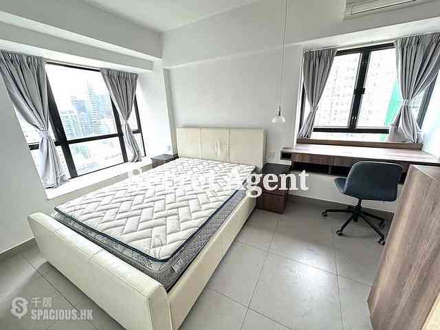 Poho - Rich View Terrace 09