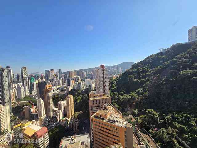 東半山 - 竹林苑74号 09